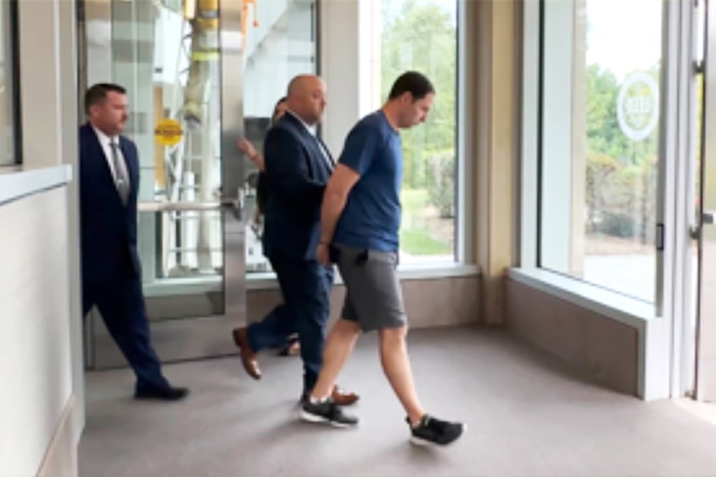 Wife's murder connected to elaborate sex fetish-based plot, according to au pair 