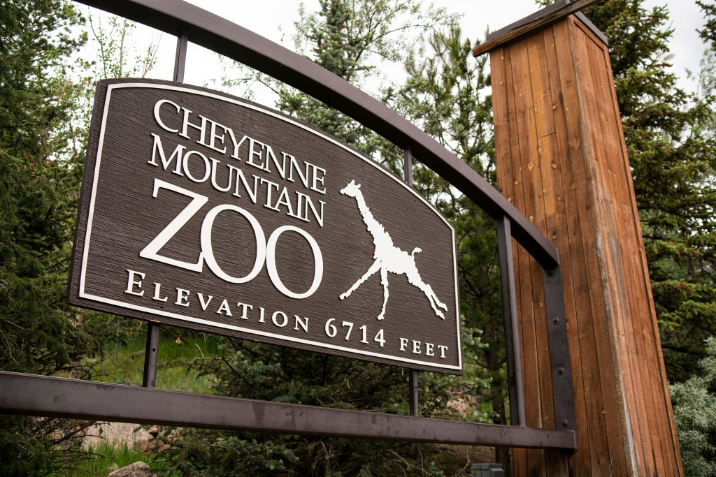 Elephants can't pursue their release from a Colorado zoo because they're not  human, court says