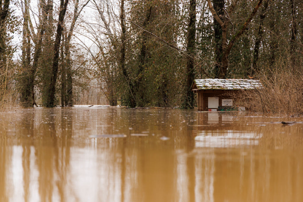 El gobernador de Kentucky confirma al menos ocho muertes por las  inundaciones en el estado