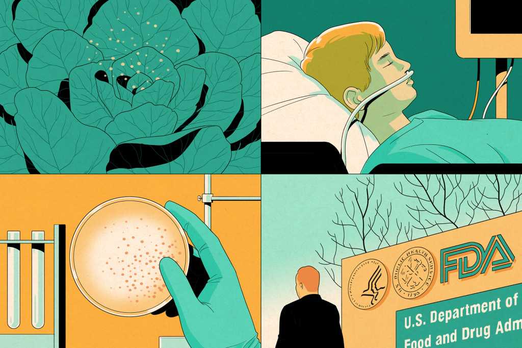 Milk Makers Fest E Coli O157h7 Outbreak Final Report