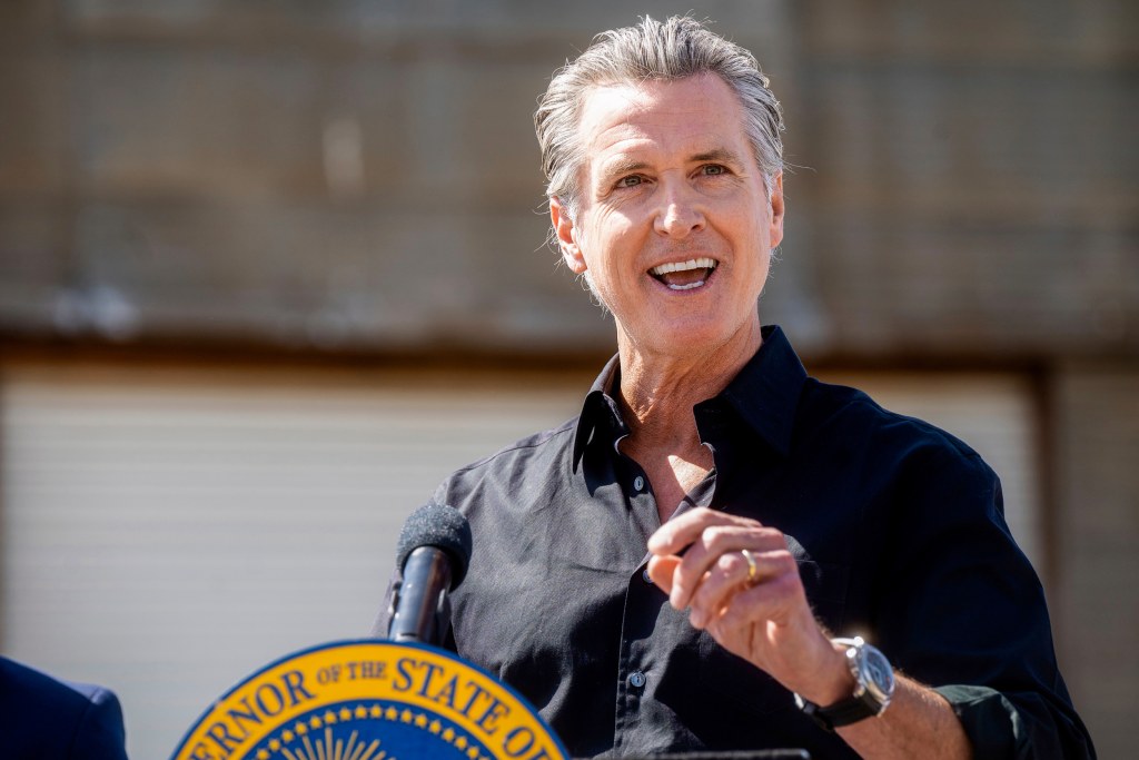 Gavin Newsom proposes cutting back on health care benefits for undocumented immigrants