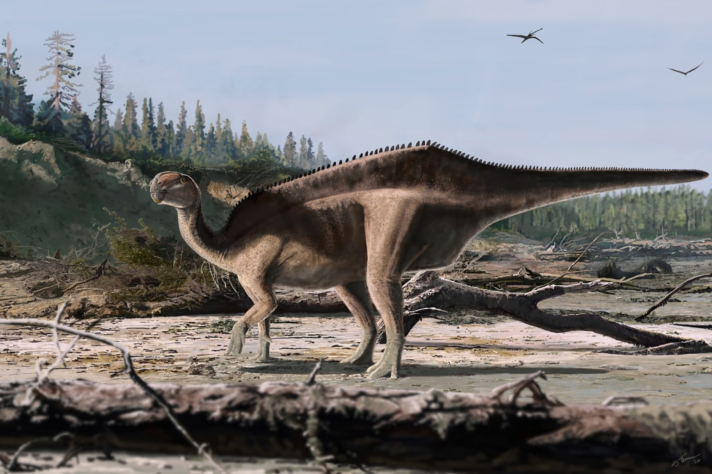 New species of dinosaur with a sail on its back is discovered