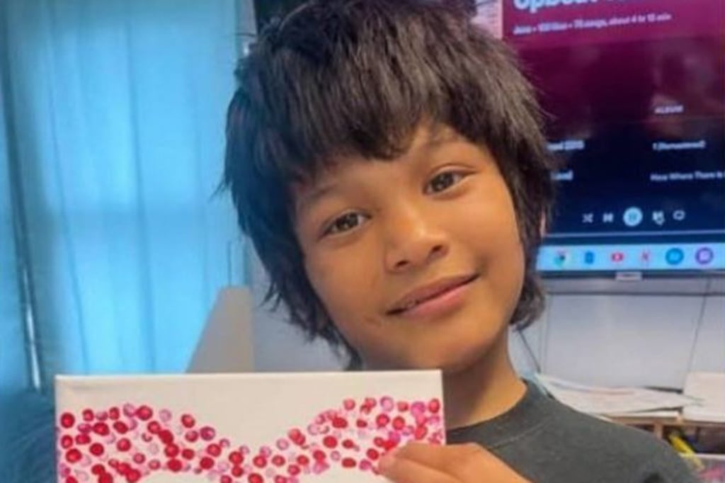 Missing New Orleans boy died from blunt force trauma from alligator, authorities say