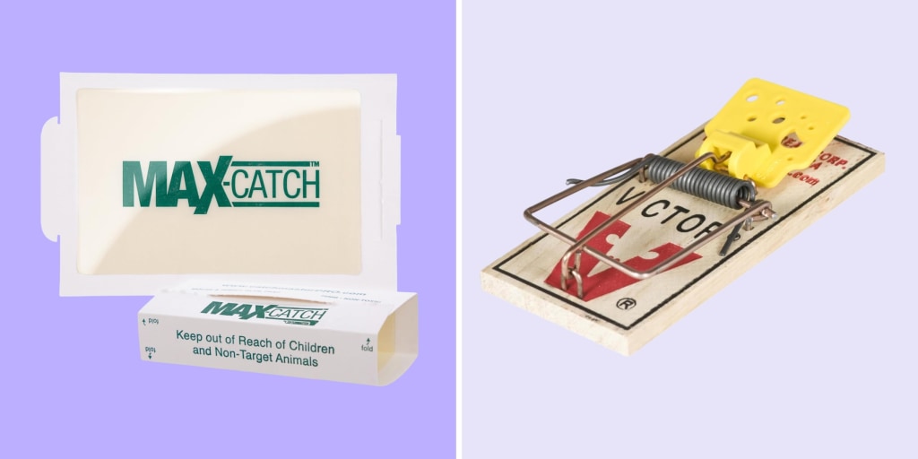 Have a mouse problem? These traps will help