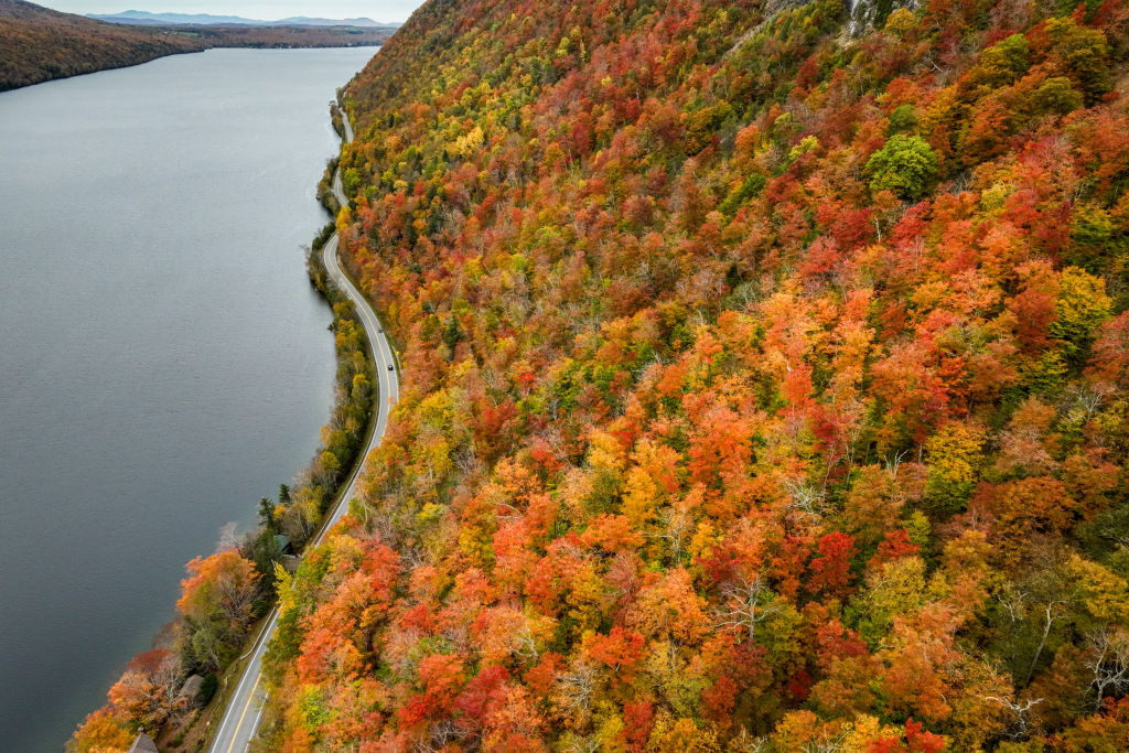 Bright, brief and early: New England's fall foliage may not last long