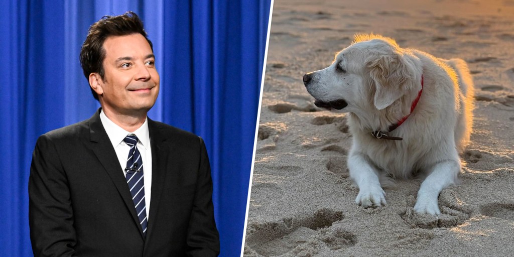 Jimmy Fallon's Dog, Gary, Dies