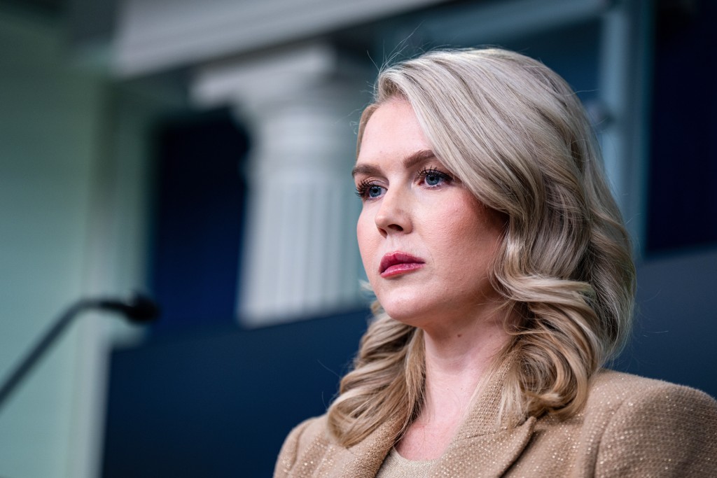 Mother of Karoline Leavitt's nephew released from ICE custody