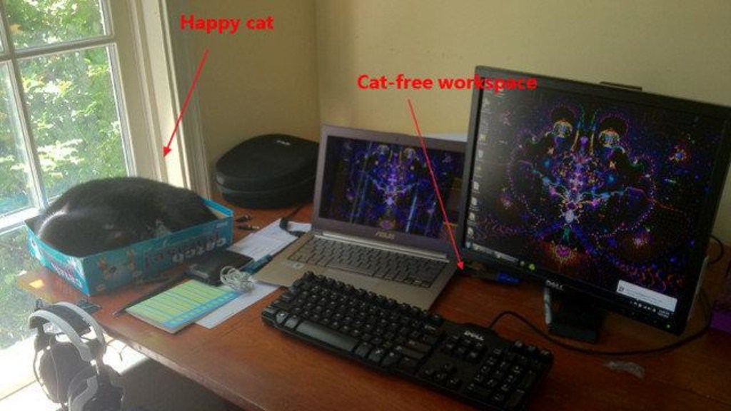 How to keep your cat off the table online