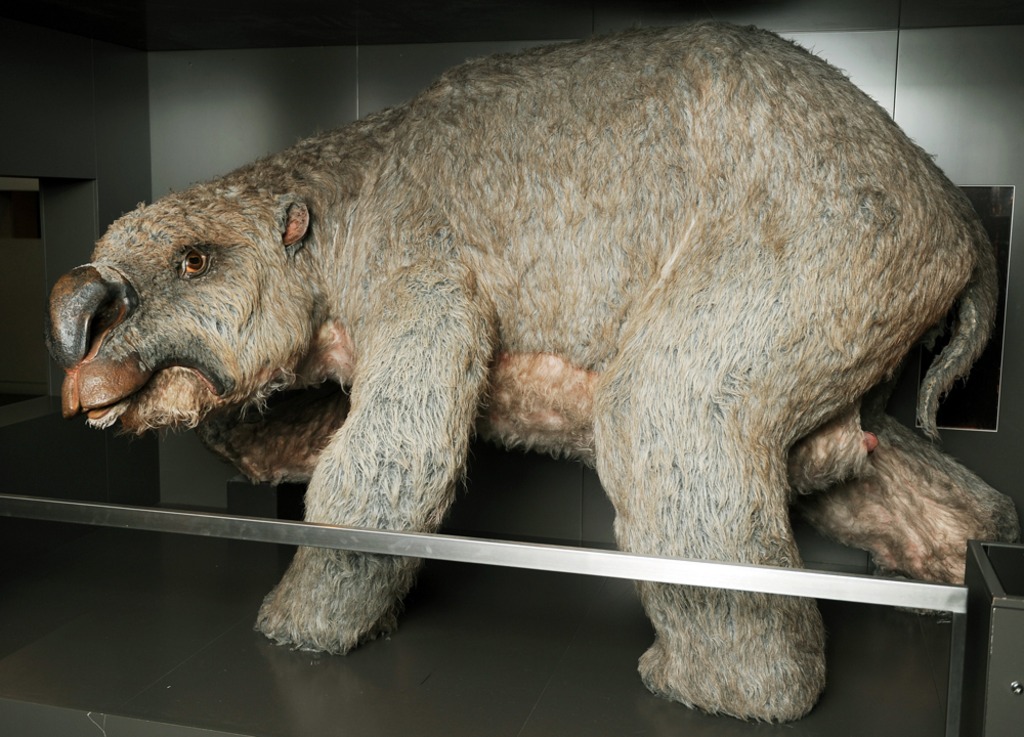 Mass grave found of 'giant wombats' the size of a rhinocerous