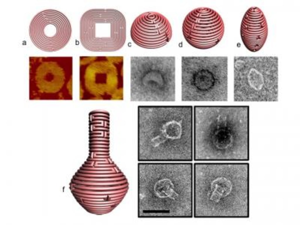 dna origami goes 3 d