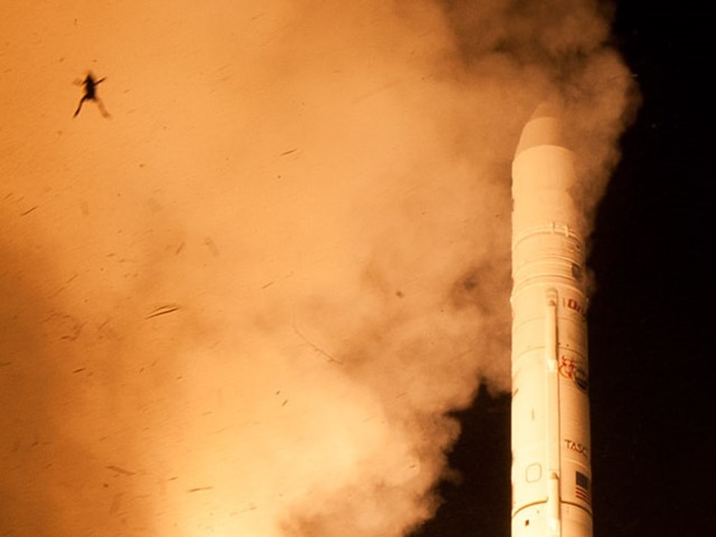 Frog In Nasa Rocket Launch