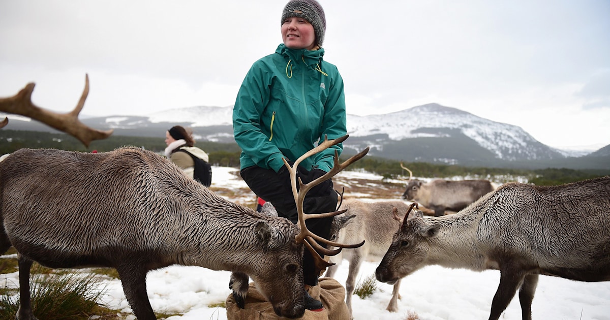 Animal Tracks: Dec. 8-15
