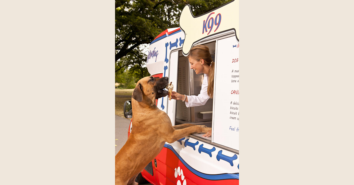 World’s first ice cream truck for dogs rolls out