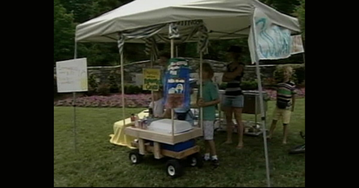 Kids’ lemonade stand slapped with fine
