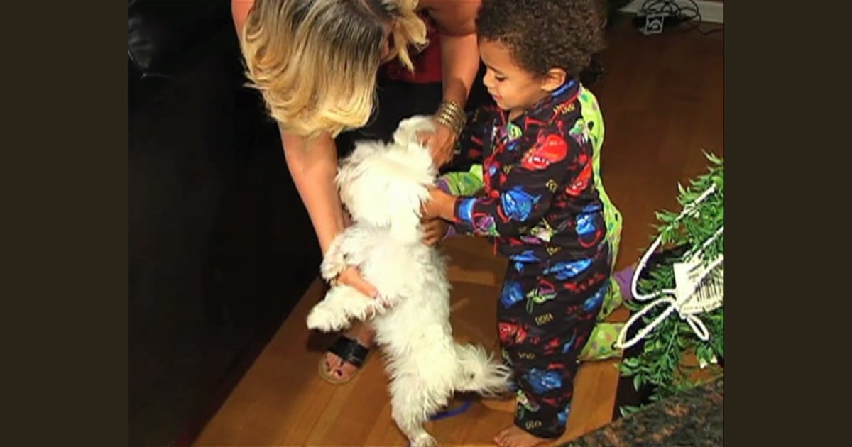 Family reunites with dog after fatal accident