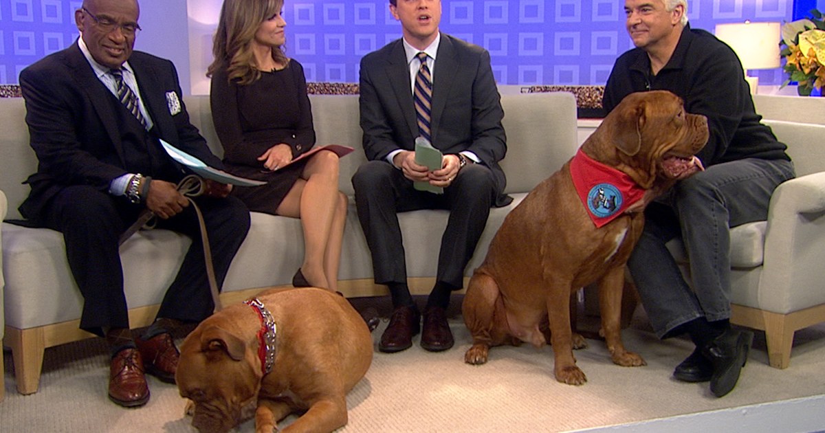Previewing the 2012 National Dog Show
