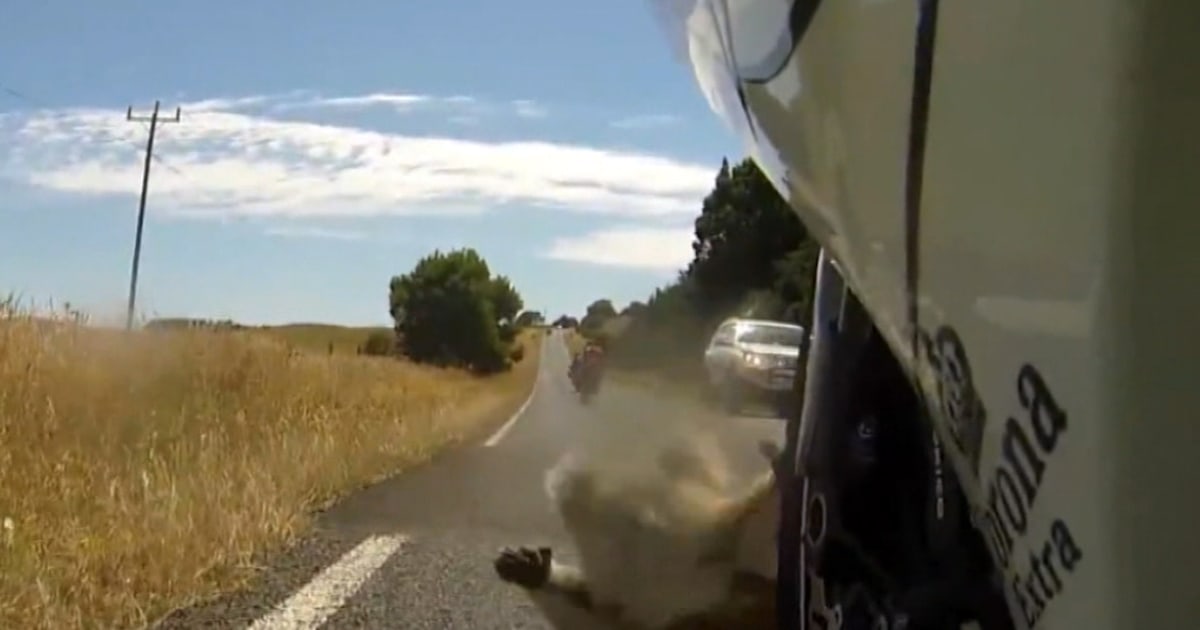 Koala Exploding Stunned koala 'okay' after being hit