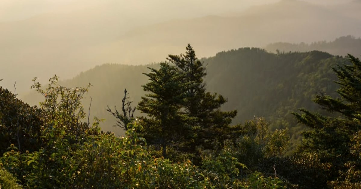 6-family-friendly-national-parks-to-visit-this-summer