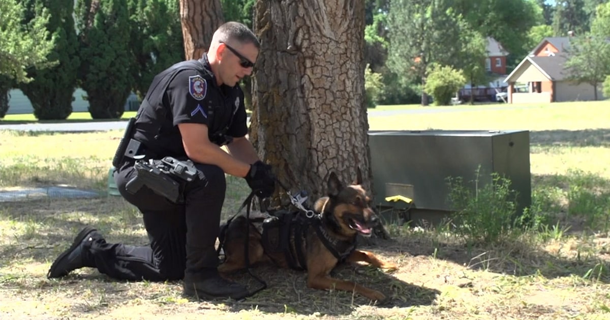 Rossen Reports: How police dogs track criminals, find the missing