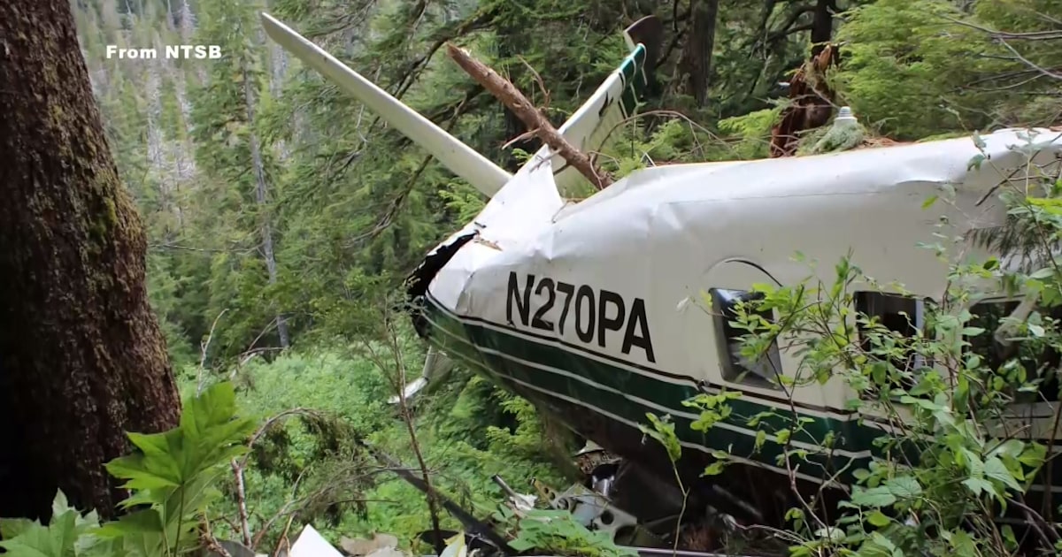 NTSB Releases Preliminary Report in Alaska Plane Crash