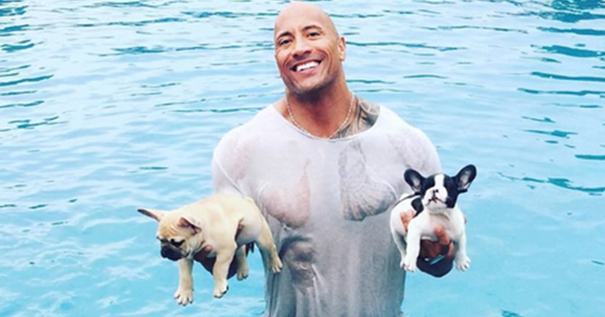Safe Rescue Dwayne The Rock to the rescue! Dwayne Johnson saves puppy from drowning