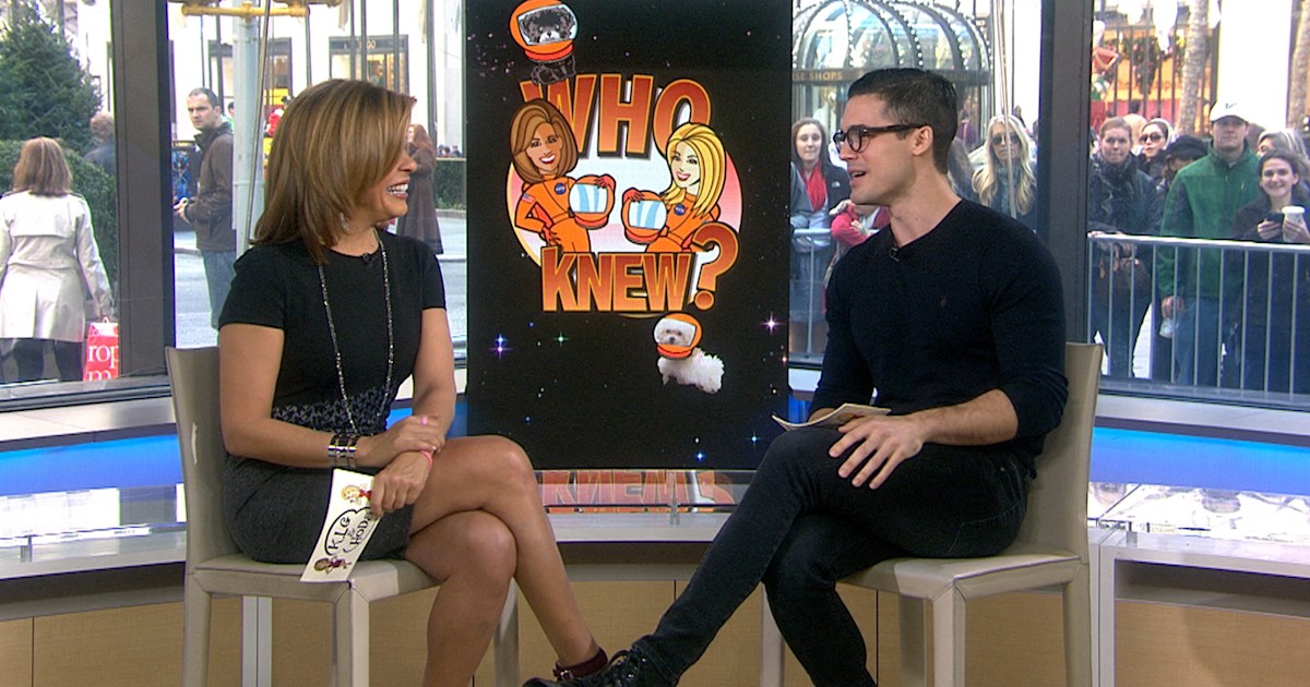 What Is The Most Expensive Man made Object Ever Built what-is-the-most-expensive-man-made-object-ever-built