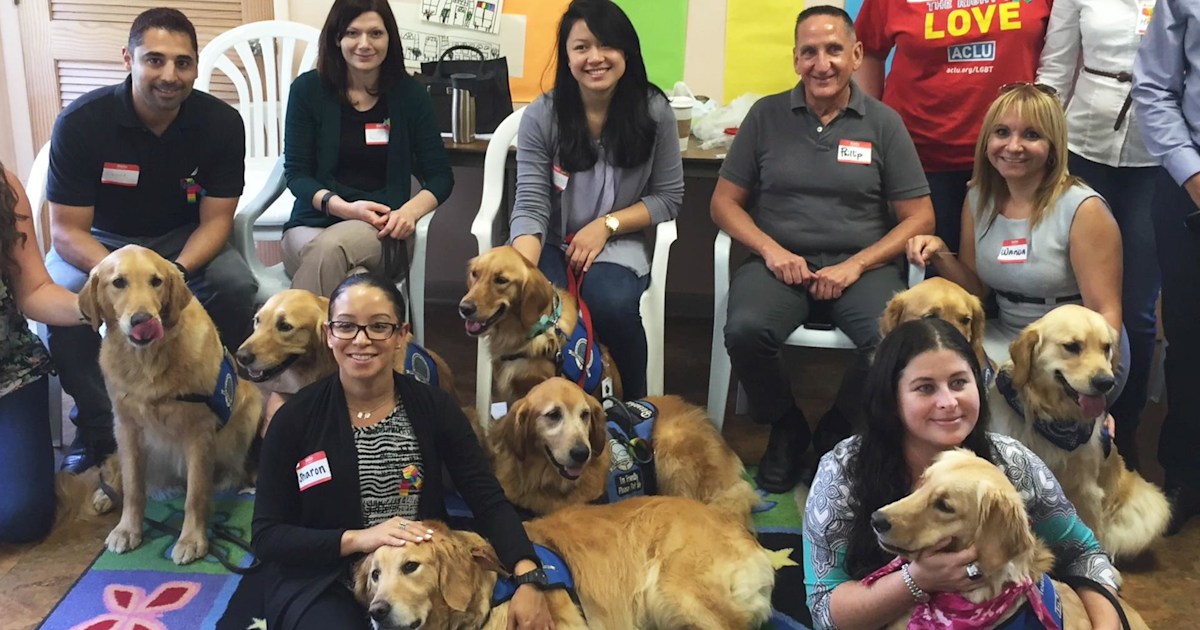K9 Comfort Therapy dogs fly to Orlando to cheer up survivors, first