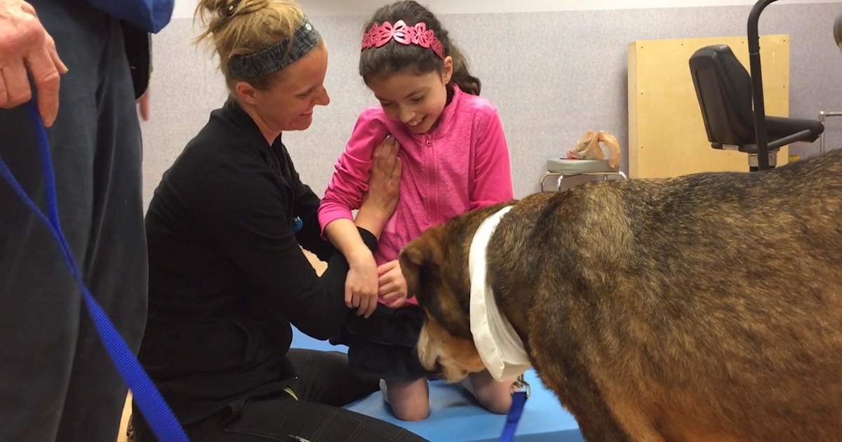 Special dogs provide love, motivation to help kids heal