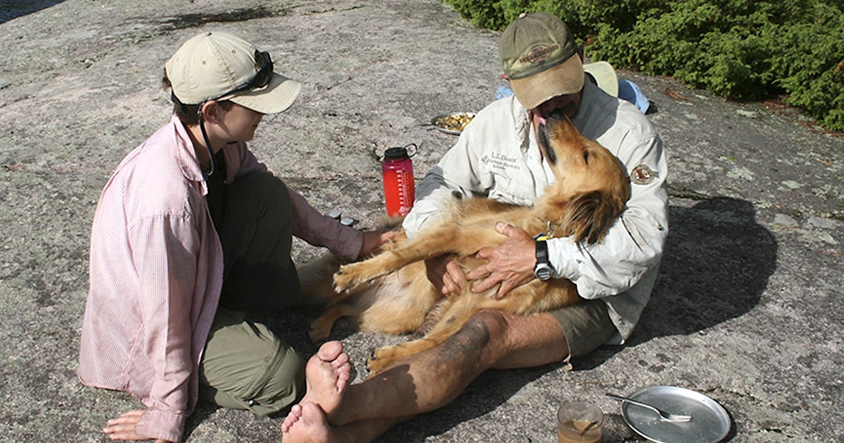 Dog reunites with owner after 2 weeks in the wilderness