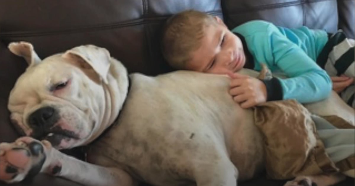See the special bond between one nonverbal boy with autism and his deaf ...
