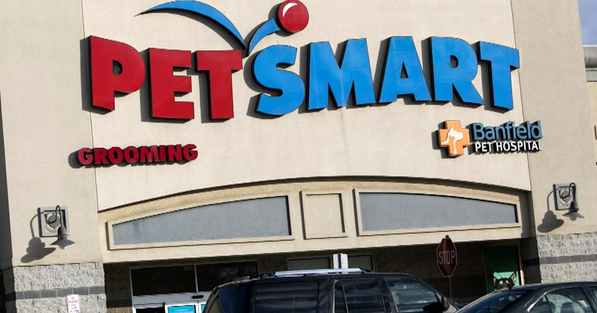 PetSmart under fire after another dog dies during grooming appointment