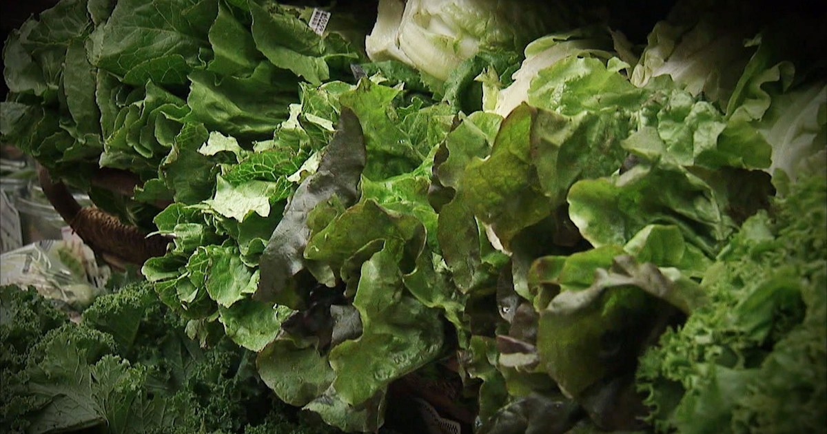 E. coli outbreak from romaine lettuce has turned deadly