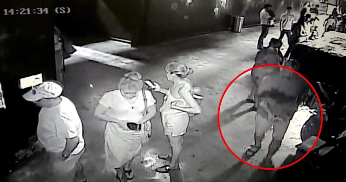 Shark stolen from San Antonio Aquarium in stroller returned safely