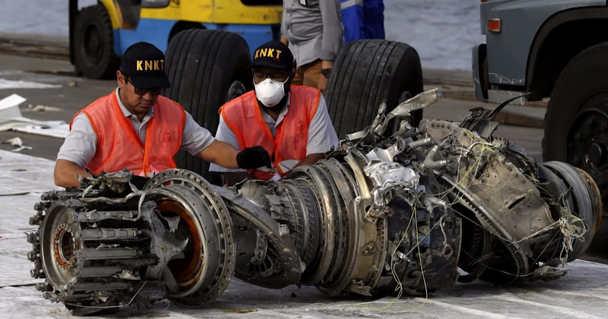 Boeing issues 737 MAX warnings to pilots after fatal crash