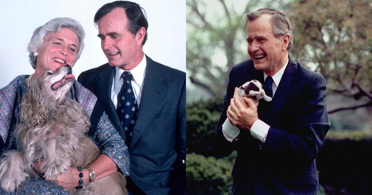 George H.W. Bush's love for dogs shown in stunning photos, videos
