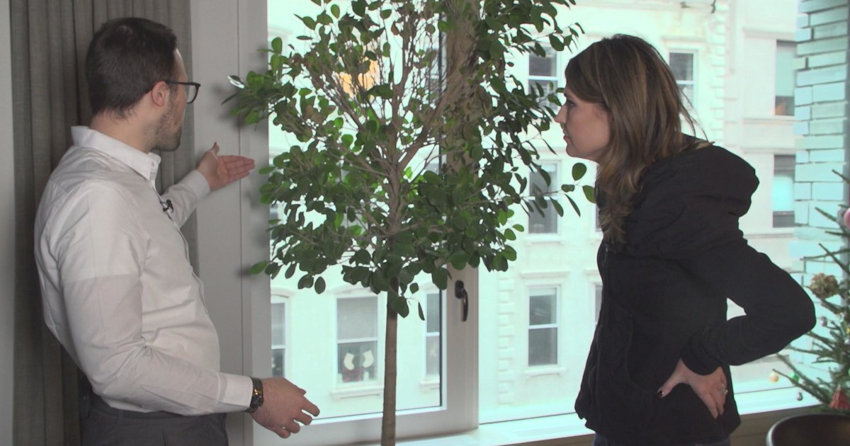 Savannah Guthrie learns how to save her dying Instafamous ficus tree
