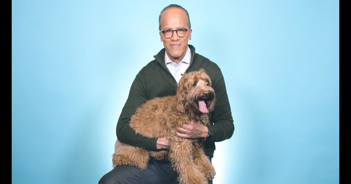 Meet Lester Holt’s labradoodle (and see her best tricks!)