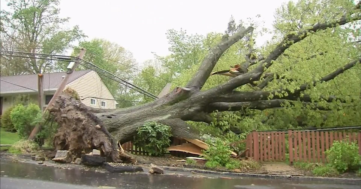Severe weather slams Northeast, toppling trees and power lines