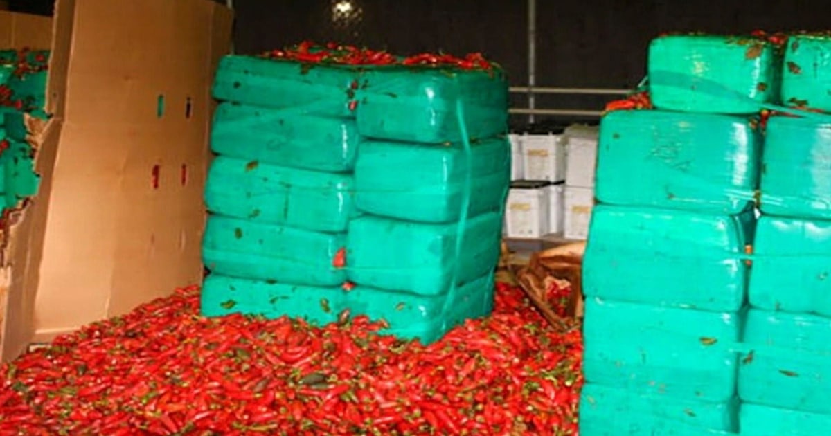 Nearly 4 tons of marijuana seized at a border checkpoint in San Diego