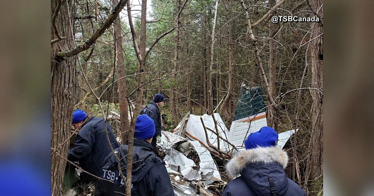 Small plane crashes in Ontario, killing 7