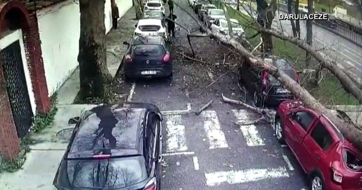 Caught on video Falling tree nearly crushes 3 pedestrians