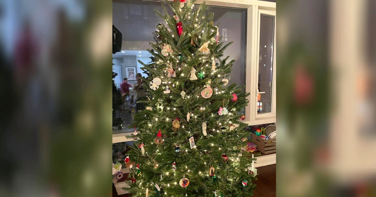 How to pick out the perfect Christmas tree