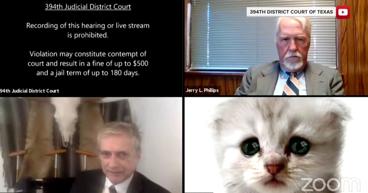 Lawyer who couldn’t turn off cat filter in Zoom ‘I don’t know how it