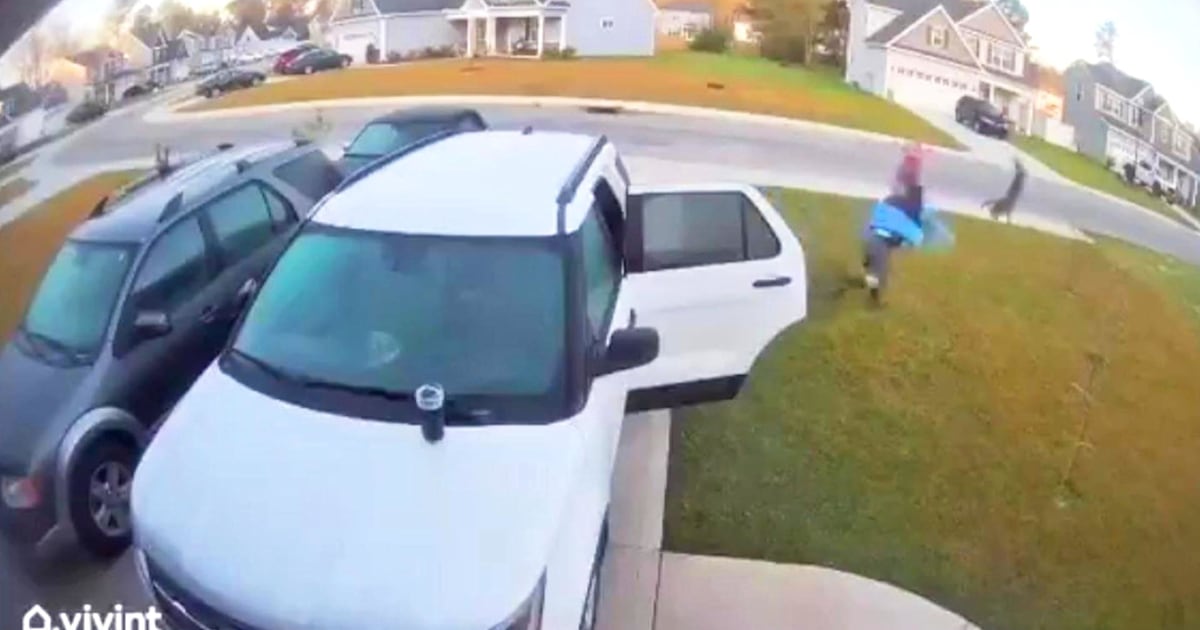 Man rescues wife from bobcat attack in driveway in wild video