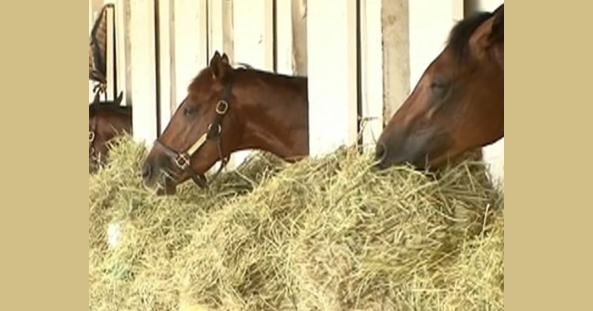 Behind the scenes at the Kentucky Derby