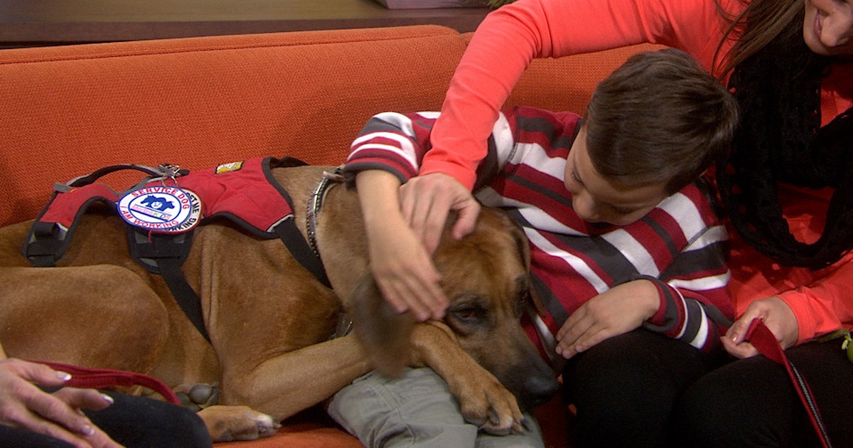 Boy with autism finds support from service dog