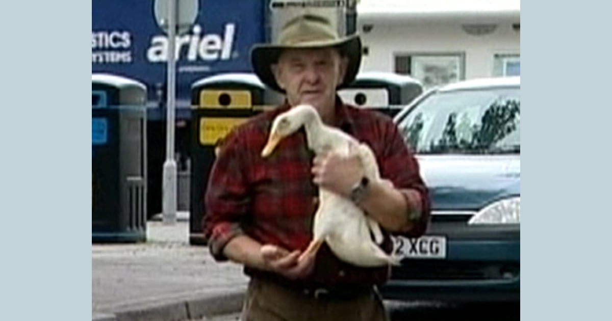 Quackers? Man adopts duck as best friend