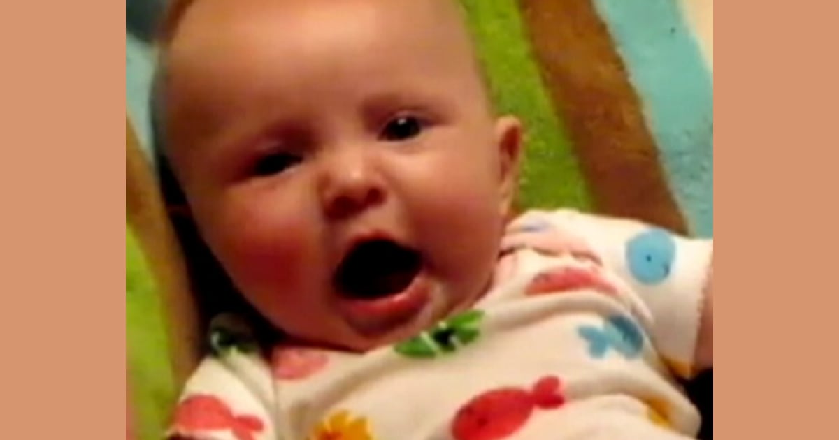 What did the cadaver dog smell?