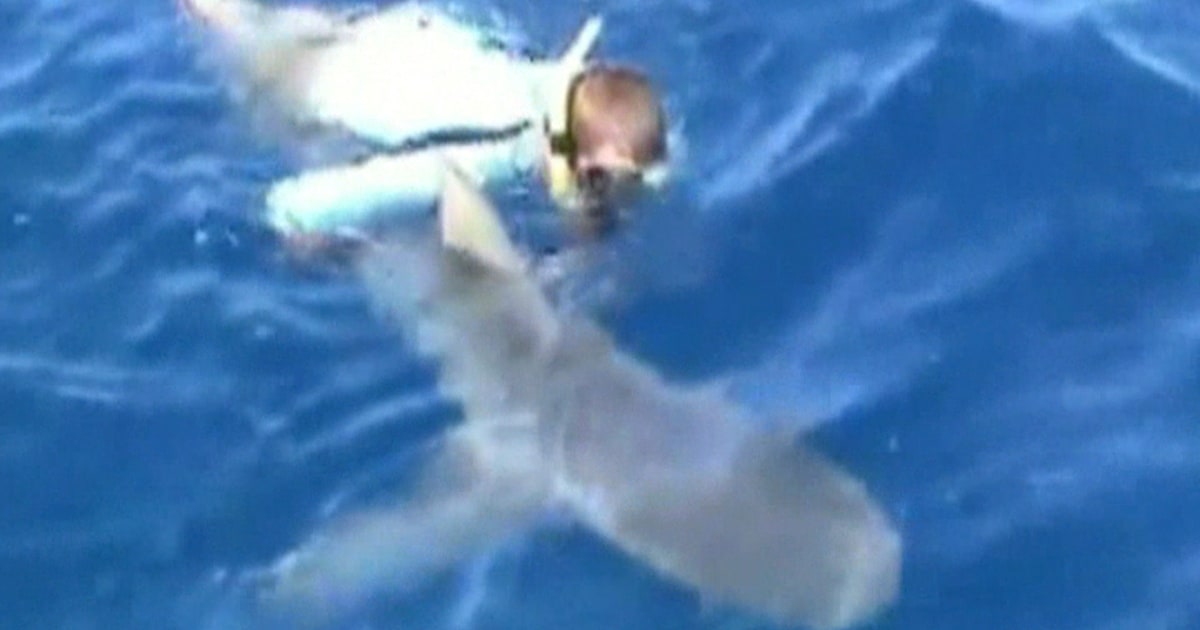 Fisherman risks own life to revive deadly shark