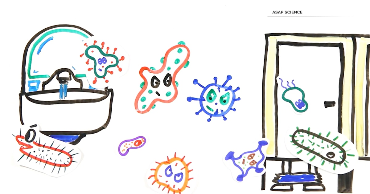 Sorry, germaphobes. Toilet seat liners are pointless and here's why